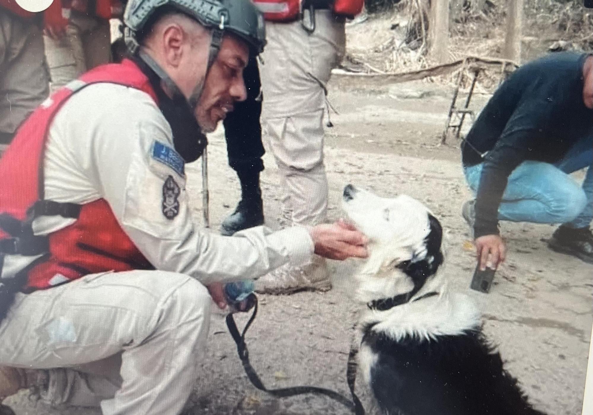 De perro rescatado a símbolo de esperanza, Tsunami participa en labores de búsqueda entre escombros en Venezuela.jpg